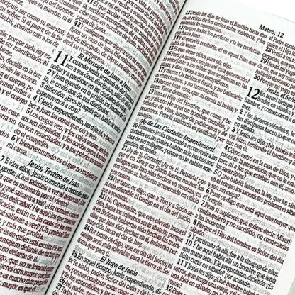 Bíblia Sagrada em Espanhol | RVT | Letra Super Gigante | Luxo Pink