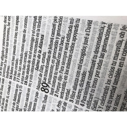 Bíblia Sagrada em Espanhol | RVT | Letra Super Gigante | Luxo Pink