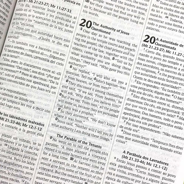 Bíblia Sagrada Trilíngue | NVI | Letra Normal | Capa Luxo Feminina