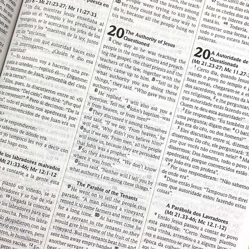 Bíblia Sagrada Trilíngue | NVI | Letra Normal | Capa Luxo Feminina