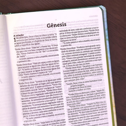 Bíblia Sagrada Chuvas de Bênçãos | NVT | Capa Dura