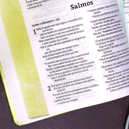 Bíblia Sagrada Chuvas de Bênçãos | NVT | Capa Dura