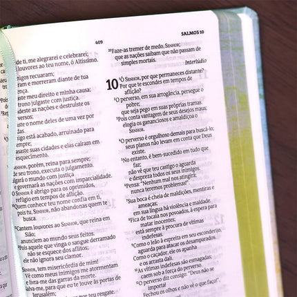 Bíblia Sagrada Chuvas de Bênçãos | NVT | Capa Dura