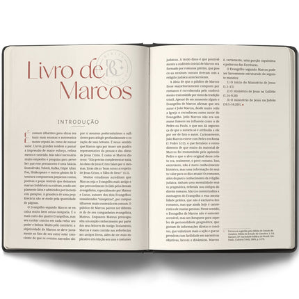 Bíblia Contexto | Evangelho e Atos | NVT | Capa Dura | Batismo