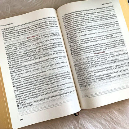 Bíblia de Estudo Literal do Texto Tradicional | LTT | Capa Luxo Marrom