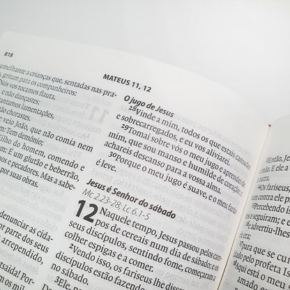 Bíblia Almeida Século 21 | A21 | Letra Normal | Vermelho e Areia C/ Referências Cruzadas