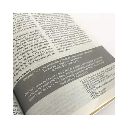 Bíblia de Estudos Joyce Meyer | NVI | Letra Normal | Capa Azul Leão