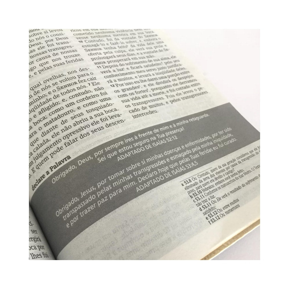 Bíblia de Estudos Joyce Meyer | NVI | Letra Normal | Capa Azul Leão