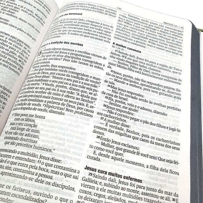 Bíblia Sagrada | NAA | Letra normal | Capa Dura Pescador de Gente