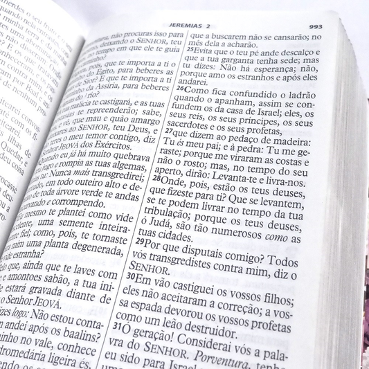Bíblia da Mulher Vitoriosa | Letra Gigante | ARC | Capa Luxo Rosa