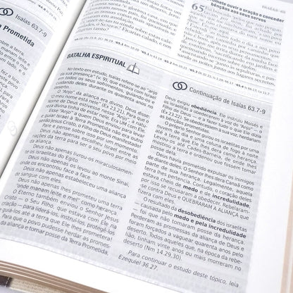 Bíblia de Estudo | Batalha Espiritual e Vitória Financeira | ARC | Capa Luxo Bege