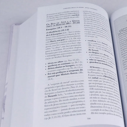 Comentário Bíblico da Mulher Antigo Testamento | Dorothy Kelley e Rhonda Harrington Kelly