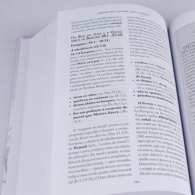 Comentário Bíblico da Mulher Antigo Testamento | Dorothy Kelley e Rhonda Harrington Kelly