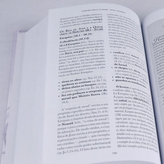 Comentário Bíblico da Mulher Antigo Testamento | Dorothy Kelley e Rhonda Harrington Kelly