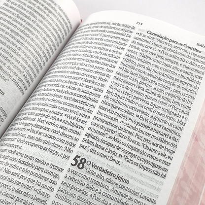 Bíblia da Mulher Vitoriosa | Letra Gigante | NVI| Capa Dura Onça
