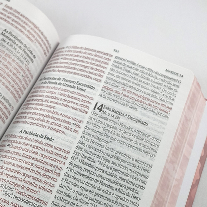 Bíblia da Mulher Vitoriosa | Letra Gigante | NVI| Capa Dura Onça
