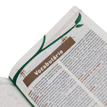Bíblia Explicada Para Crianças | Smilinguido| NTLH | Capa Dura Azul