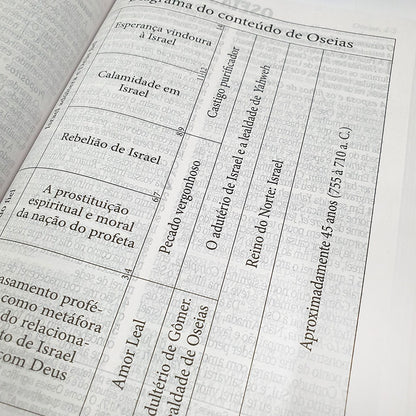 Bíblia de Estudo King James Atualizada| KJA | Letra Grande | Capa Dura Azul