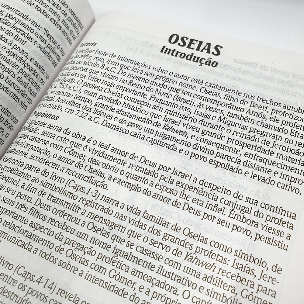Bíblia de Estudo King James Atualizada| KJA | Letra Grande | Capa Dura Azul