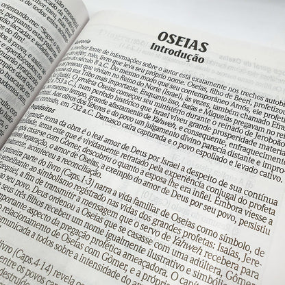 Bíblia de Estudo King James Atualizada| KJA | Letra Grande | Capa Dura Azul
