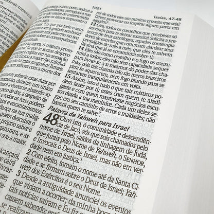 Bíblia de Estudo King James Atualizada| KJA | Letra Grande | Capa Dura Azul