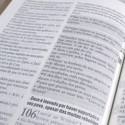 Bíblia de Estudo | Batalha Espiritual e Vitória Financeira | ARC | Capa Luxo Flores Preta