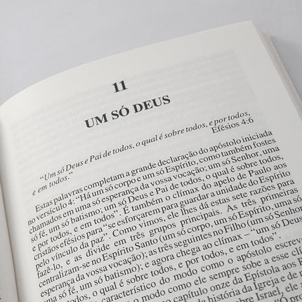 A Unidade Cristã | Exposição Sobre Efésios 4:1 Ao 16 | D. M. Lloyd-Jones