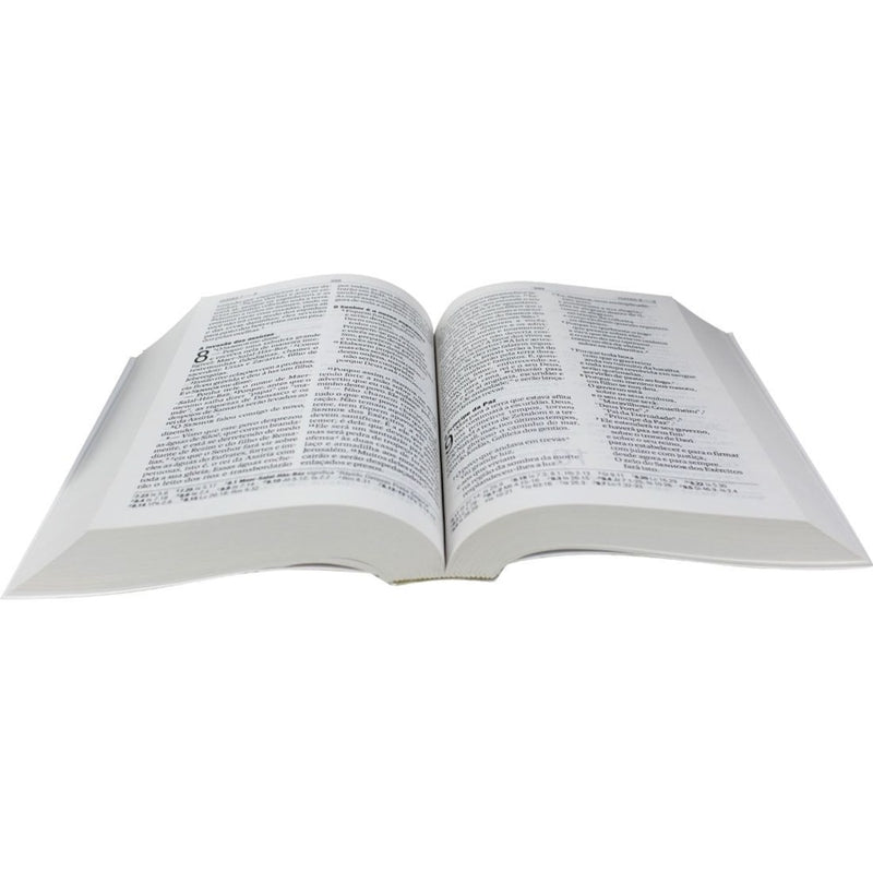 Bíblia Sagrada Trigo | NAA | Letra Gigante | Capa Brochura