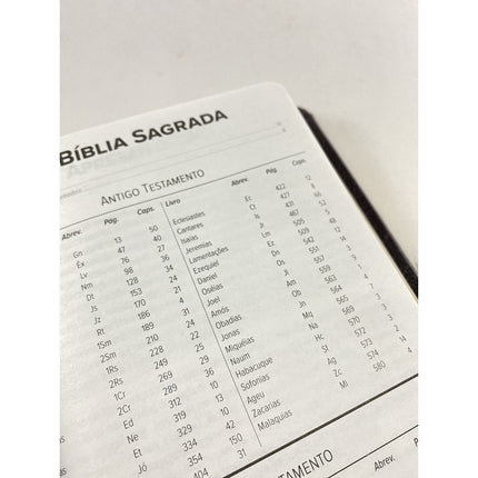 Bíblia Sagrada Slim | NVT | Letra Normal | Capa Marrom