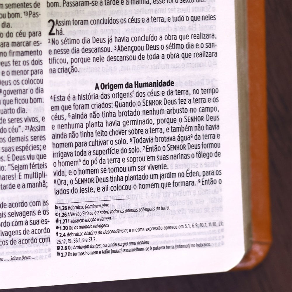 Bíblia Slim Compacta | NVI | Capa Laranja