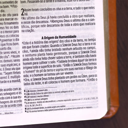 Bíblia Slim Compacta | NVI | Capa Laranja
