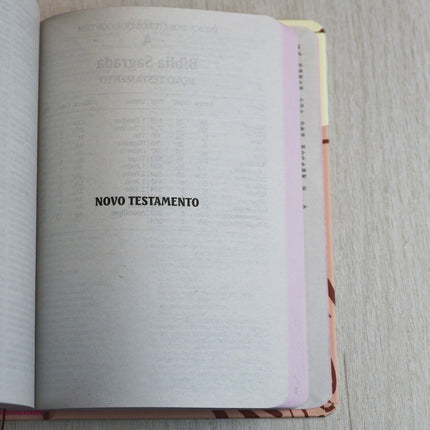 Bíblia Sagrada Cristo Vive | NVI | Letra Maior | Capa Dura