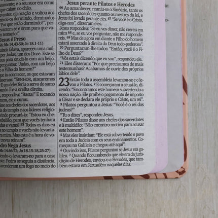 Bíblia Sagrada Cristo Vive | NVI | Letra Maior | Capa Dura