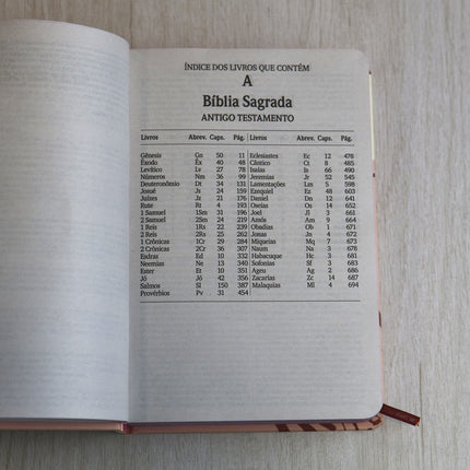 Bíblia Sagrada Cristo Vive | NVI | Letra Maior | Capa Dura