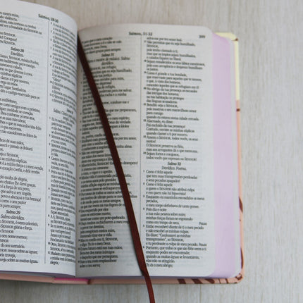 Bíblia Sagrada Cristo Vive | NVI | Letra Maior | Capa Dura