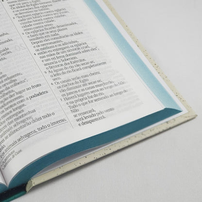 Bíblia Sagrada Retro | NVI | Letra Gigante | Capa Dura