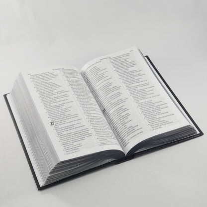 Bíblia Sagrada Leão Esboço | NVI | Letra Gigante | Capa Dura