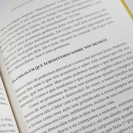 Persista e não Desista | Sheila Walsh