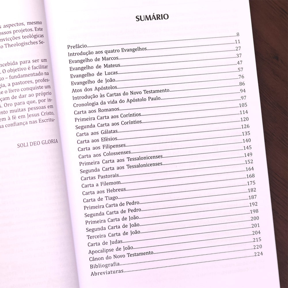 Introdução e Síntese do Novo Testamento | 4ª Geração | Gerhard Hörster