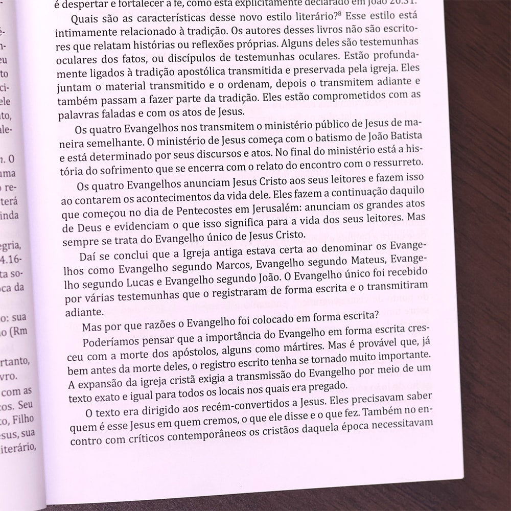 Introdução e Síntese do Novo Testamento | 4ª Geração | Gerhard Hörster