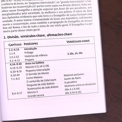 Introdução e Síntese do Novo Testamento | 4ª Geração | Gerhard Hörster