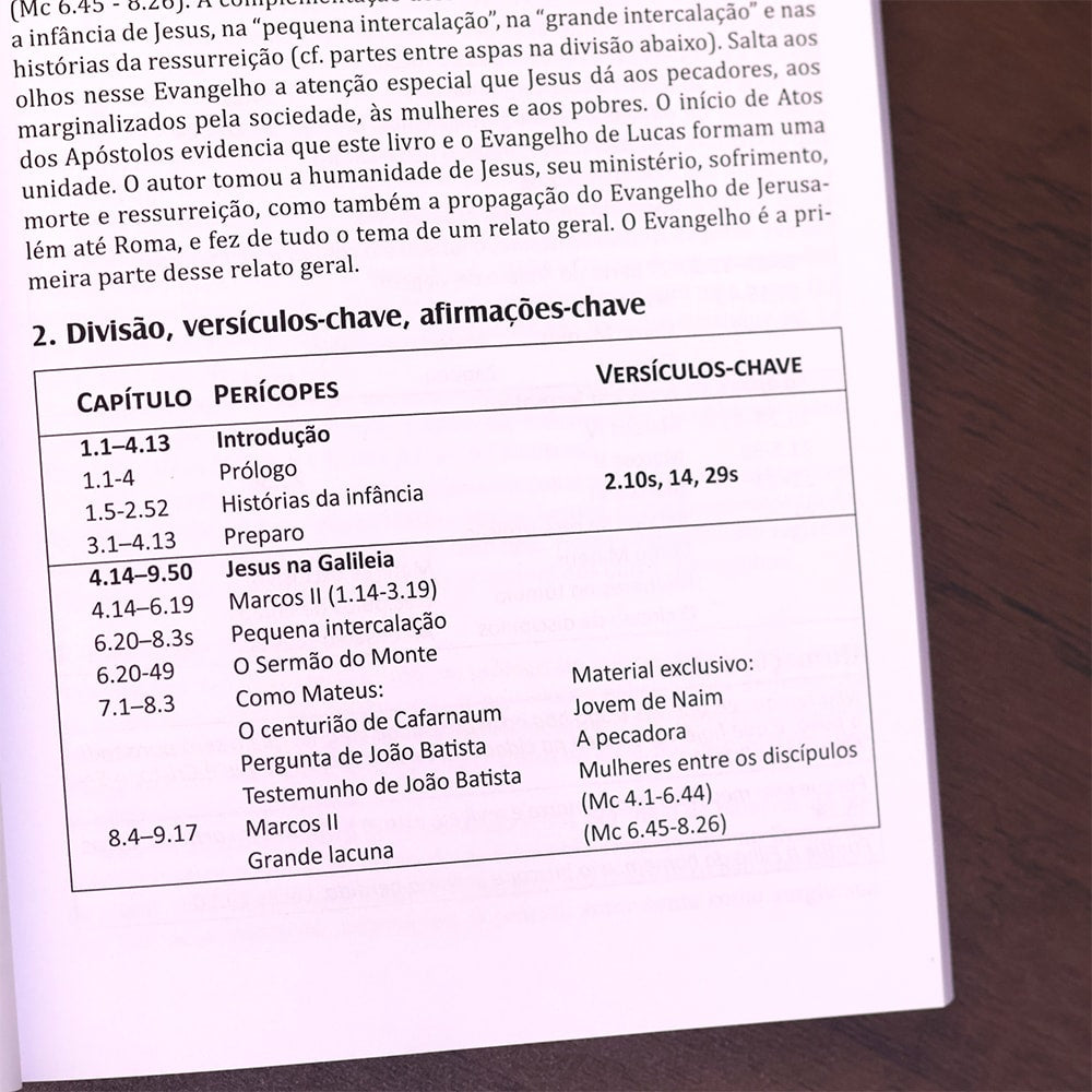 Introdução e Síntese do Novo Testamento | 4ª Geração | Gerhard Hörster