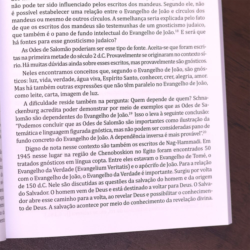 Introdução e Síntese do Novo Testamento | 4ª Geração | Gerhard Hörster