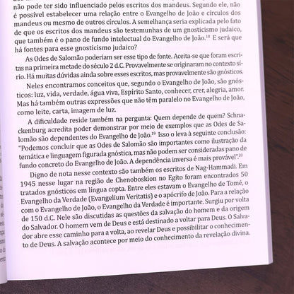 Introdução e Síntese do Novo Testamento | 4ª Geração | Gerhard Hörster