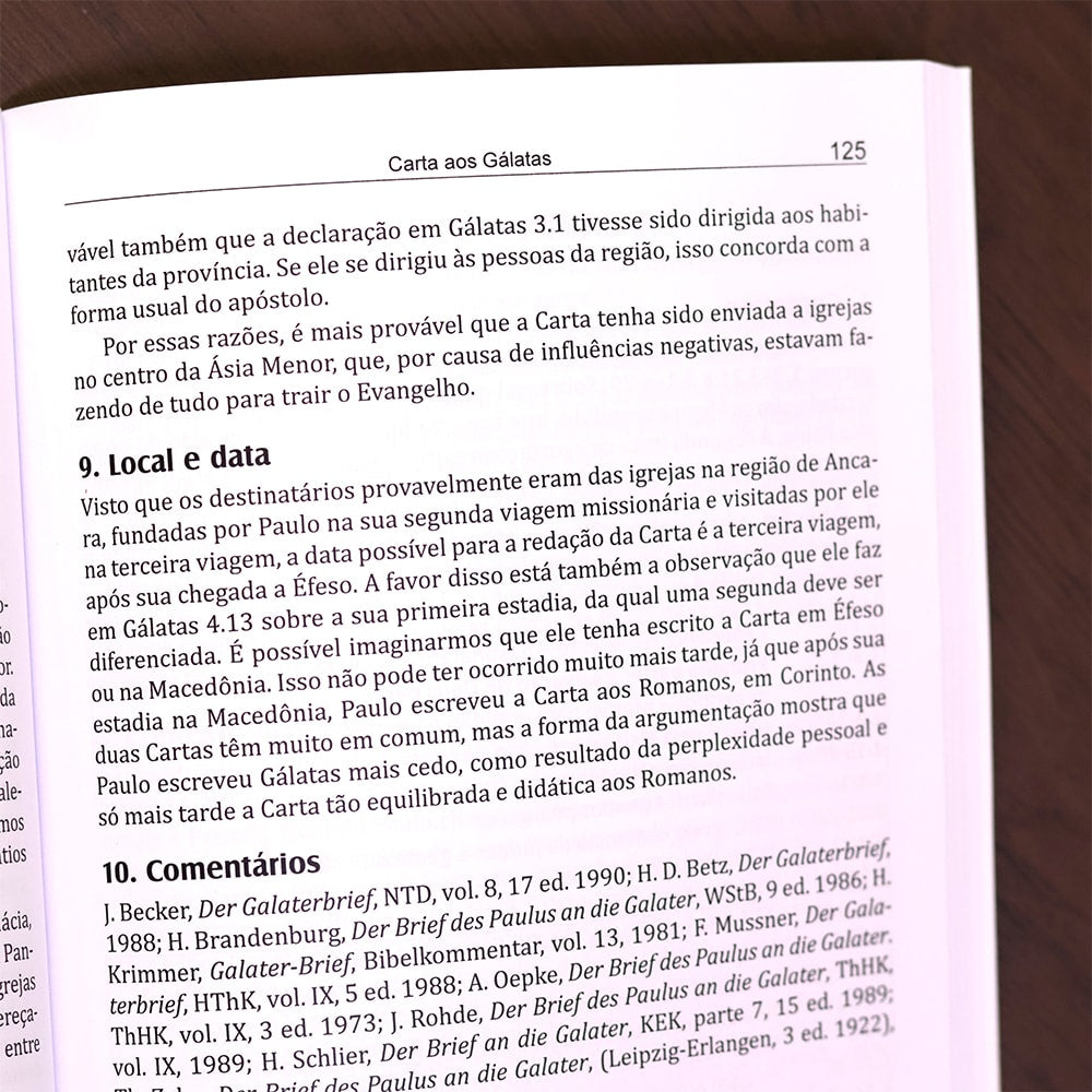 Introdução e Síntese do Novo Testamento | 4ª Geração | Gerhard Hörster