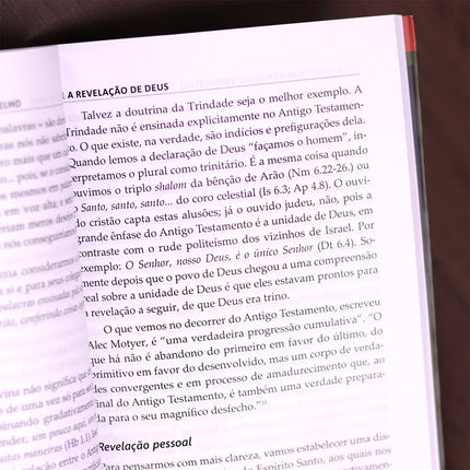 A Verdade do Evangelho | John Stott
