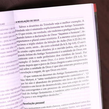 A Verdade do Evangelho | John Stott
