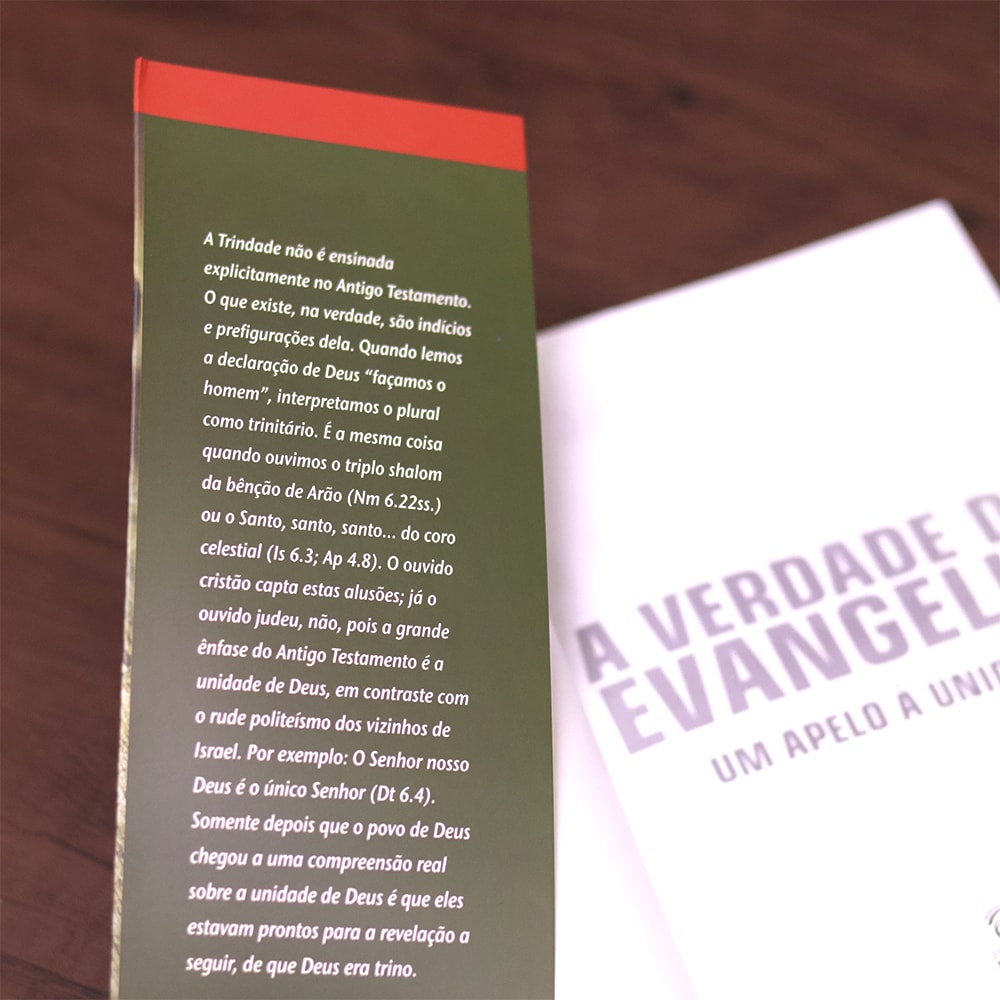 A Verdade do Evangelho | John Stott