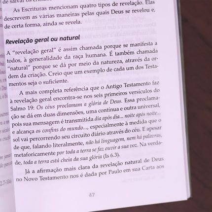 A Verdade do Evangelho | John Stott
