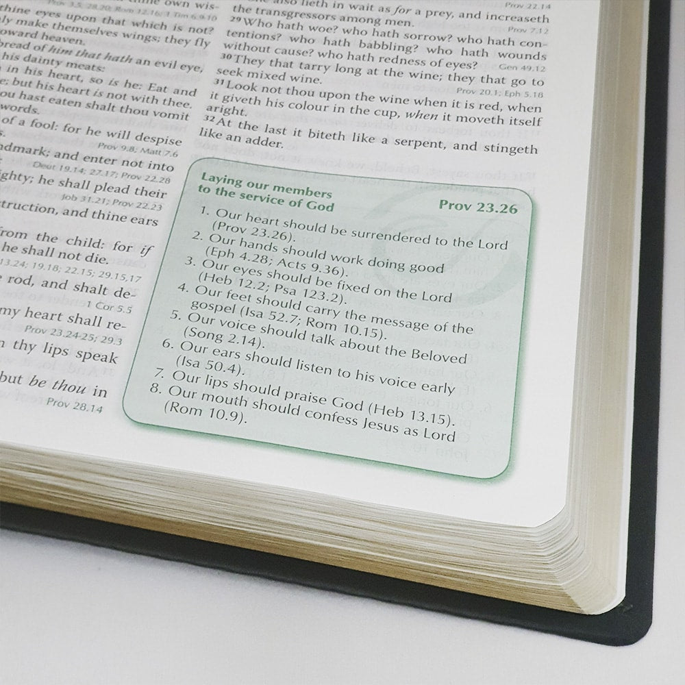 Preachers Bible | Bíblia do Pregador em Inglês | KJV | Capa Luxo Verde